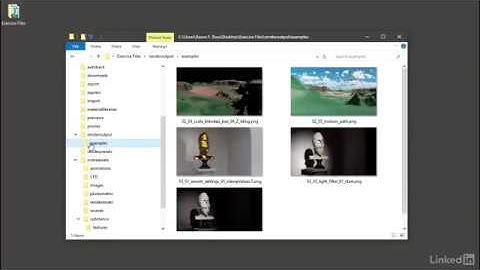 02 Using the exercise files