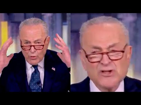 Chuck Schumer Reveals Elon Musk Is His Biggest Nightmare On Live TV