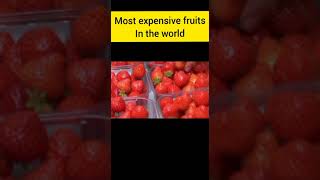 shortssembikiya queen strawberriesworld most costliest fruit