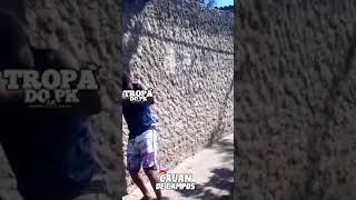 É TUDO 3 VIU PCC TCP BDM 1533 LIBERDADE PAZÃO É TUDO 3 VIU PCC TCP BDM 1533 LIBERDADE PAZÃO