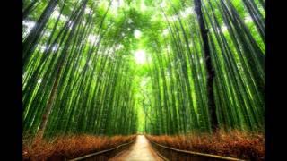 Orbital - Halcyon On and On [HQ]