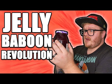 Dungeon Master Therapy: Jelly Baboon Revolution