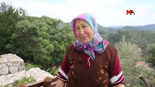 6 Yildir Jes’e Karşi Di̇reni̇şteler: Memleketi̇mi̇zden Uzak Dursunlar