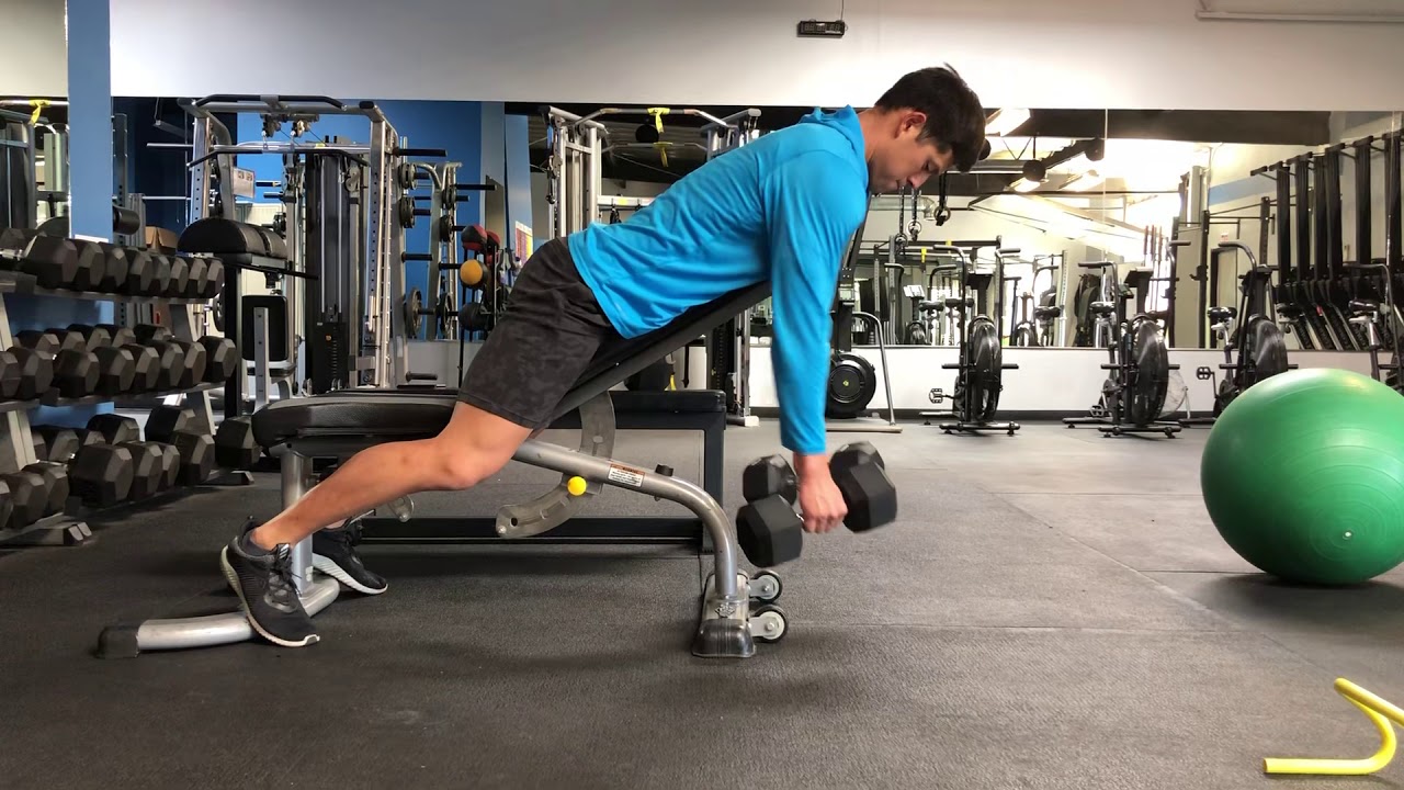 Chest Supported Db Rows Workout Routine