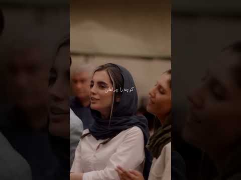    امید نصری گل رز