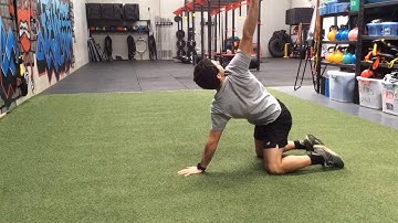 Mobility - Cat-Camel Rotations