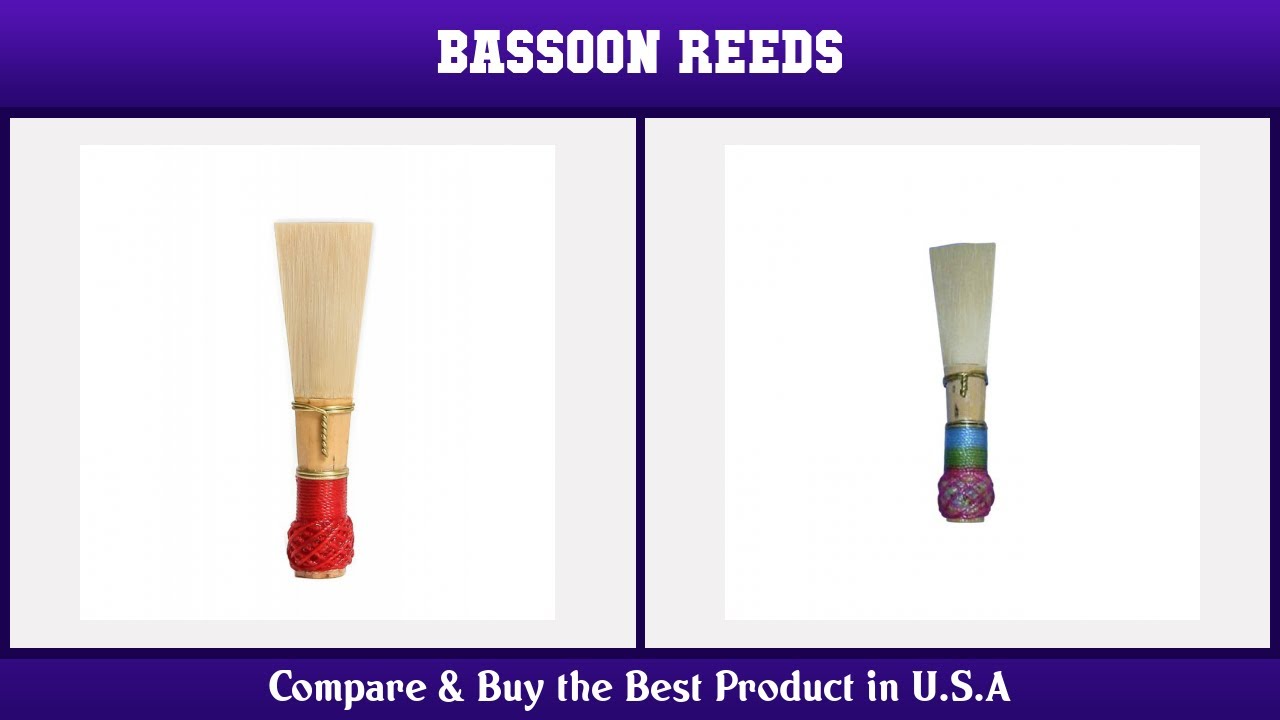 Top 10 Bassoon Reeds to buy in USA 2021 Price & Review YouTube