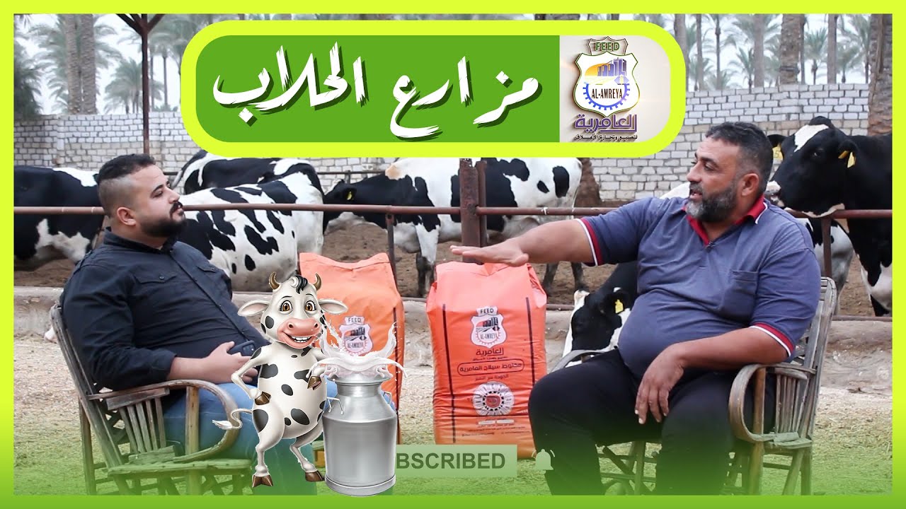 مزارع الحلاب واساليب التغذية الافضل مع اعلاف TMR العامرية للأعلاف ✅