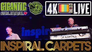 Inspiral Carpets - This is how it feels, live 4k Bristol 2025
