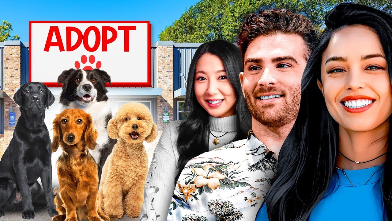 Adopting Puppies
