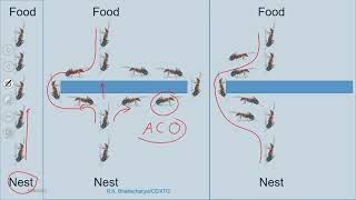 Lec 1: Introduction to Optimization #CH23SP #swayamprabha
