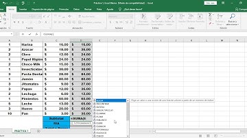 Práctica 1  Excel Básico