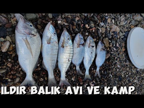 Ildır'da Bereketli Gün