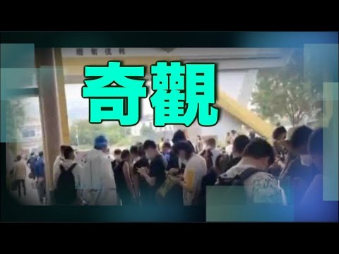 缅北10万诈骗者被劝回国 边境防疫难；建制派也要逃？香港选委须申报配偶国籍和BNO【希望之声TV-两岸要闻-2021/7/15】