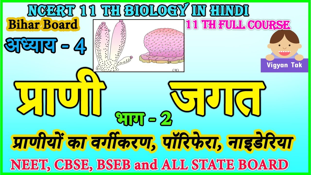 प्राणी जगत कक्षा 11 अध्याय 4 भाग 2 पॉरिफेरा नाइडेरिया Animal Kingdom