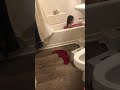 Baby laughing