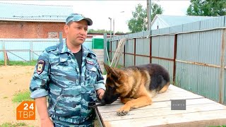 Четвероногие полицейские | Элита | ТВР24 | Сергиев Посад Четвероногие полицейские | Элита | ТВР24 | Сергиев Посад