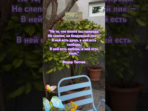 #nature #love #весна #афоризмы #высказывания #мысли #путешествия #грузия #цитаты #music #тбилиси