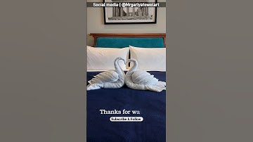 How do you make kissing swan out of towel art 🦆  @mrgariyatowelart | towel art