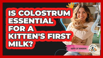 Is Colostrum Essential For A Kitten