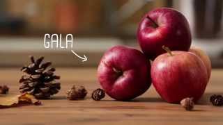 Sind Braeburn Äpfel sauer?