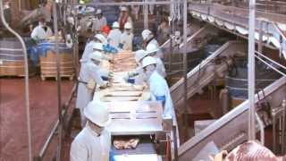 Video Tour of a Pork Plant Featuring Temple Grandin