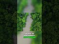 Amazon Rainforest: Brazil's Jewel &amp; Biodiversity Source #shorts