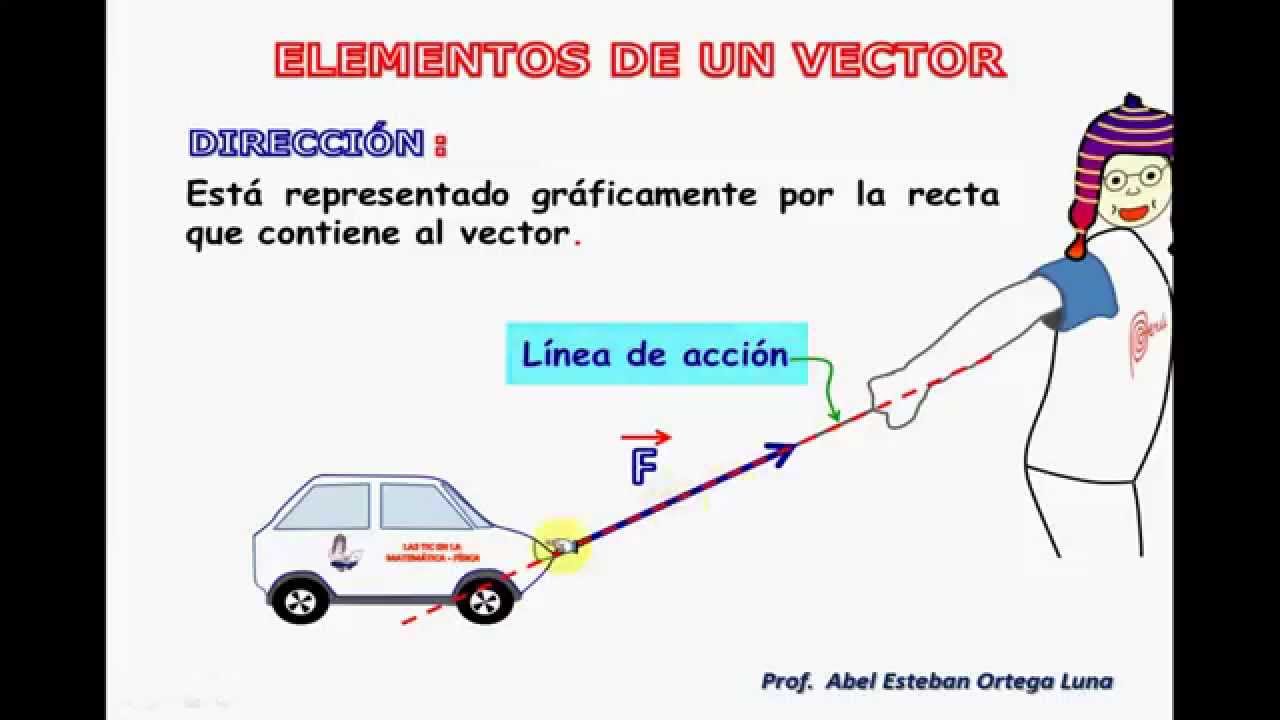 Ejemplos De Los Vectores En La Vida Cotidiana - kulturaupice