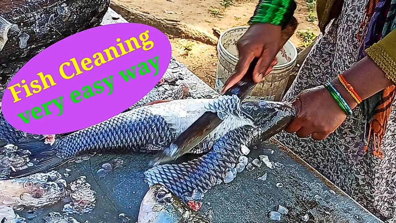 fish cleaning style..very easy method..for, fish fry, fish curry, fish