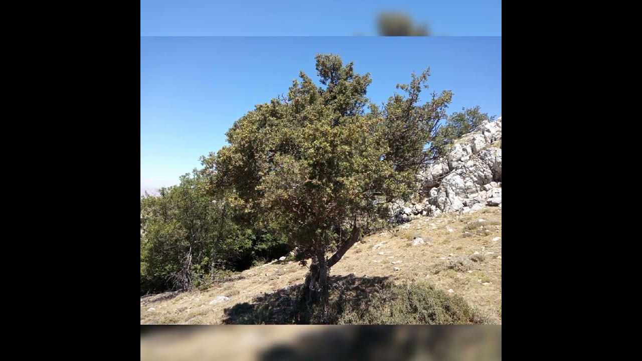 dereçiftlik köyü aydıncık yozgat