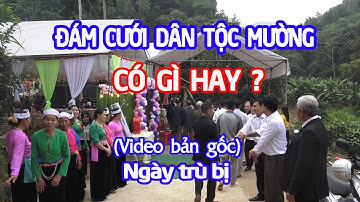 Đám cưới dân tộc Mường Hòa Bình có gì hay ? ( Bản gốc) - Ngày trù bị