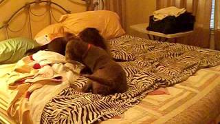 100_0735.AVI