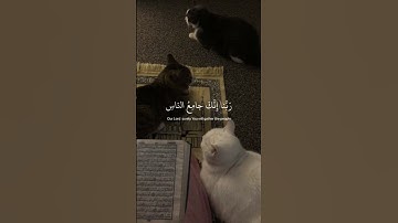 {ربنا لأ تزغ قلوبنا بعد إذ هديتنا} سورة آل عمران عبد الرحمن مسعد #ارح_قلبك #القرآن_الكريم#قرآن