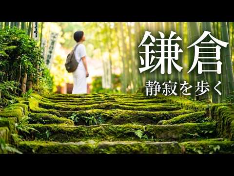 【鎌倉女ひとり旅】静寂を歩く。報国寺の竹林と苔階段、旬のしらす丼｜穏やかなひとり旅の記録