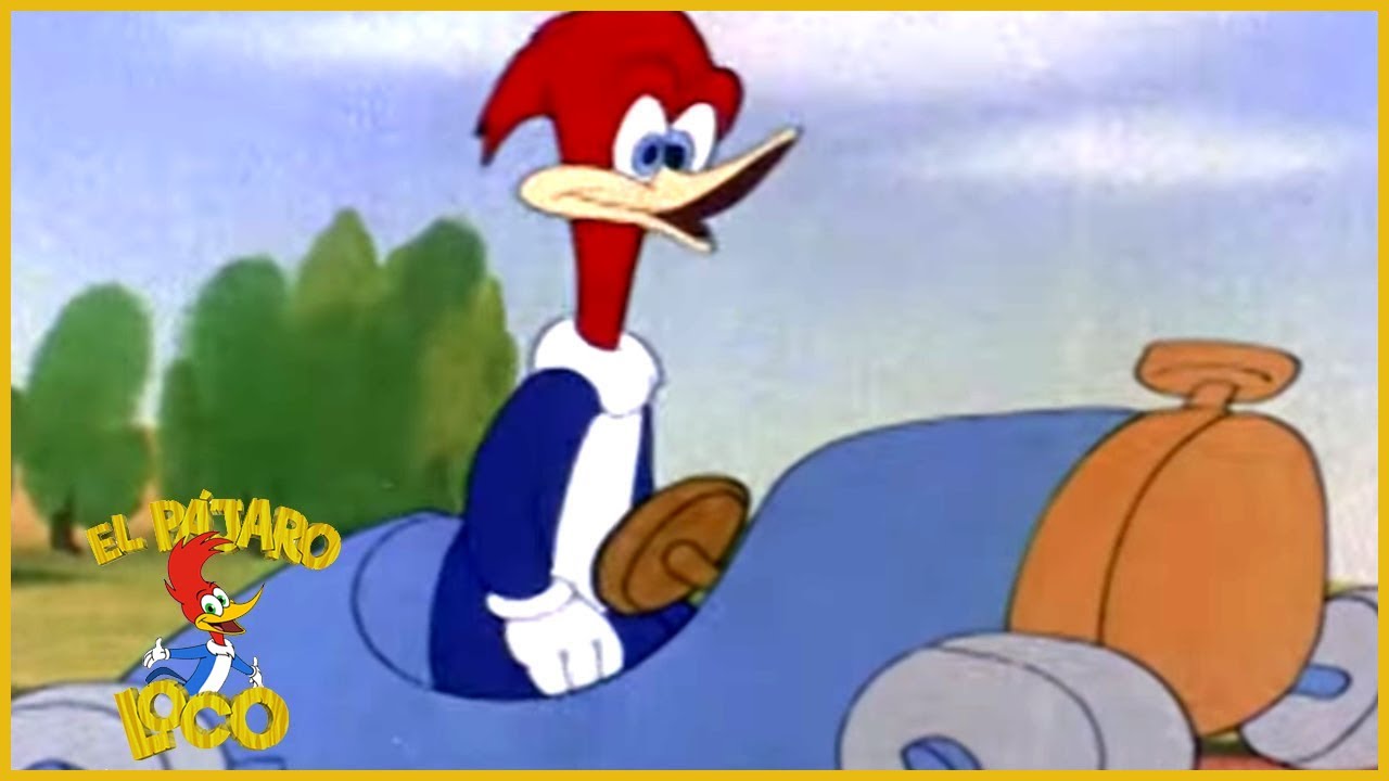 Animación Retro: Woody Woodpecker/ El Pájaro Loco y la historia de Walter  Lantz