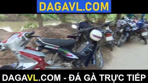 DAGAVL.COM - đá gà trực tiếp. Bắt 23 đối tượng đá gà tại Tân Quy A.