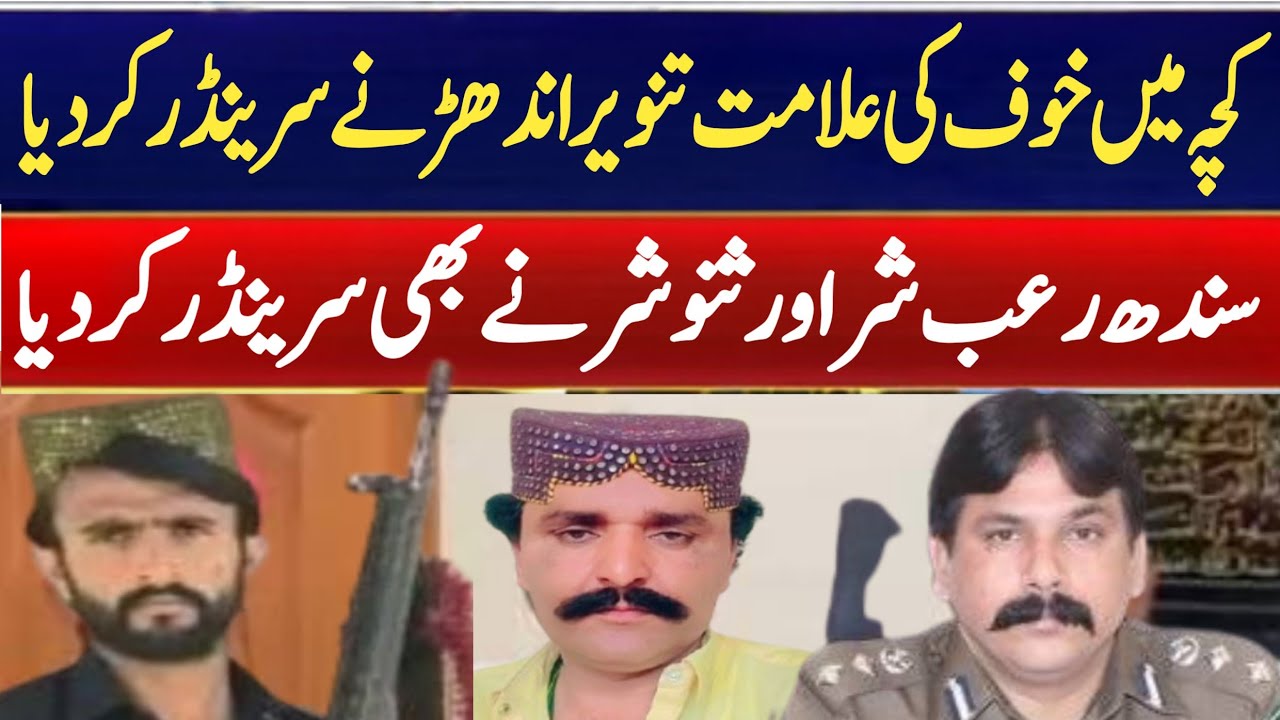 “Breaking News: Notorious Gangster From Kacha Tanveer Andhar Surrenders to Police!” JNN NEWS VLOG 