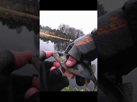 #shorts Самодельный спиннинг для мормышинга!