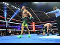 Vasyl Lomachenko VS Jose Pedraza HIGHLIGHT and knockout