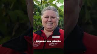 Our team of experts - Kings Plant Barn