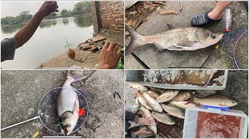 Chia sẻ cách câu Lancer lửng chuyên trôi và mè hiệu quả