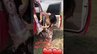 Brave Women Doing Butcher Work