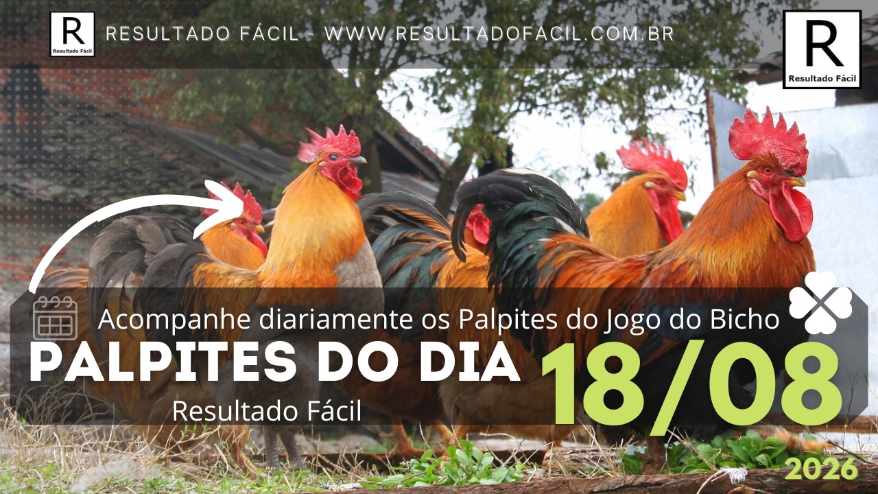 Palpites do dia Jogo do Bicho para o dia 18/08/2026