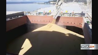 From the Farm China finally buys U S soybeans