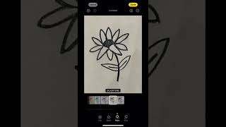 How I Scan My Illustrations into Illustrator | Natalie Bell Creative