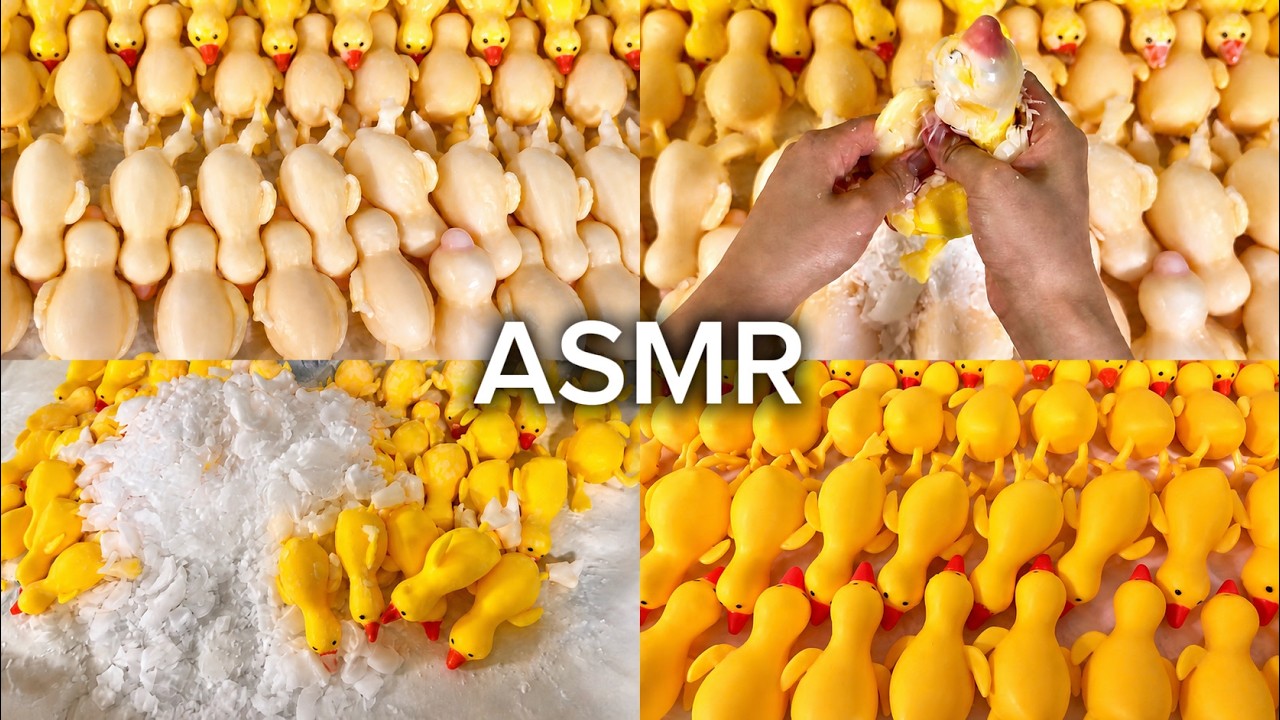 ASMR】パキパキスクイーズ40匹🐥Wax Squishy Cracking - YouTube