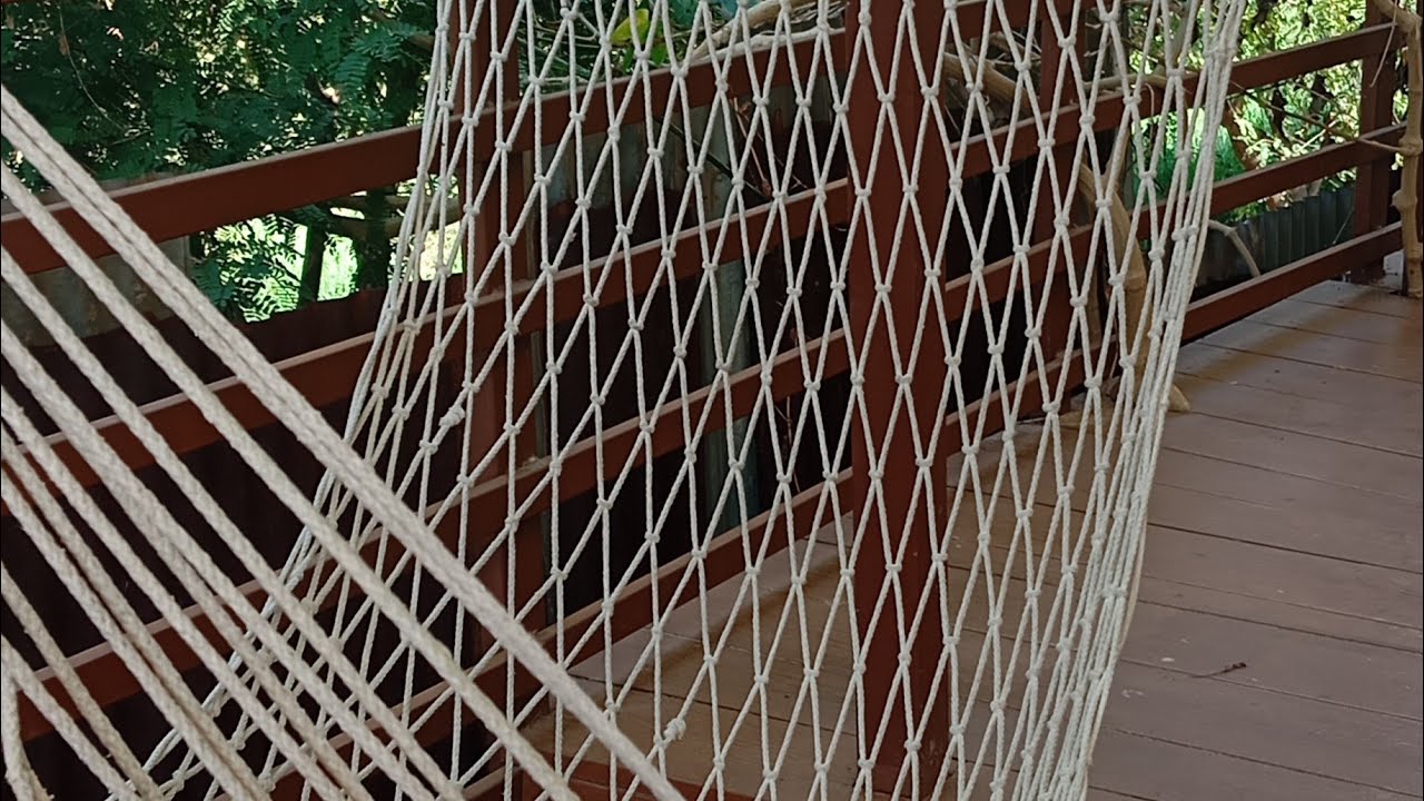 6 มีนาคม ค.ศ. 2026