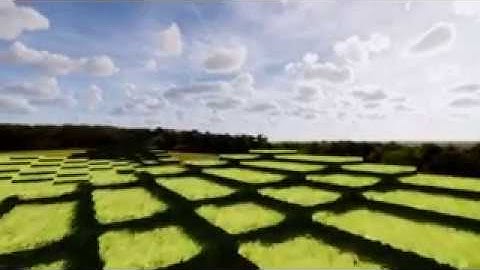 Module 3 Final Video