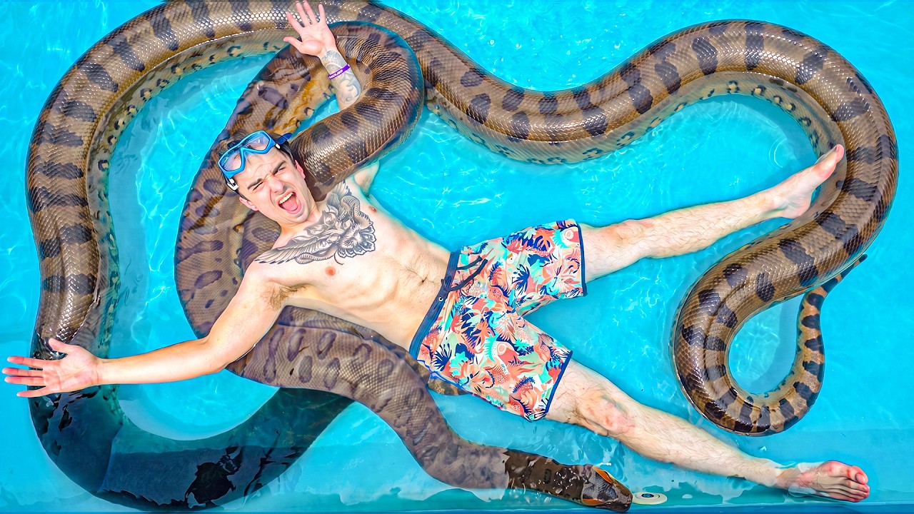I Put a Giant Green Anaconda in Pool To Swim With!