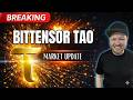 Bittensor TAO Subnet Alpha Market Update